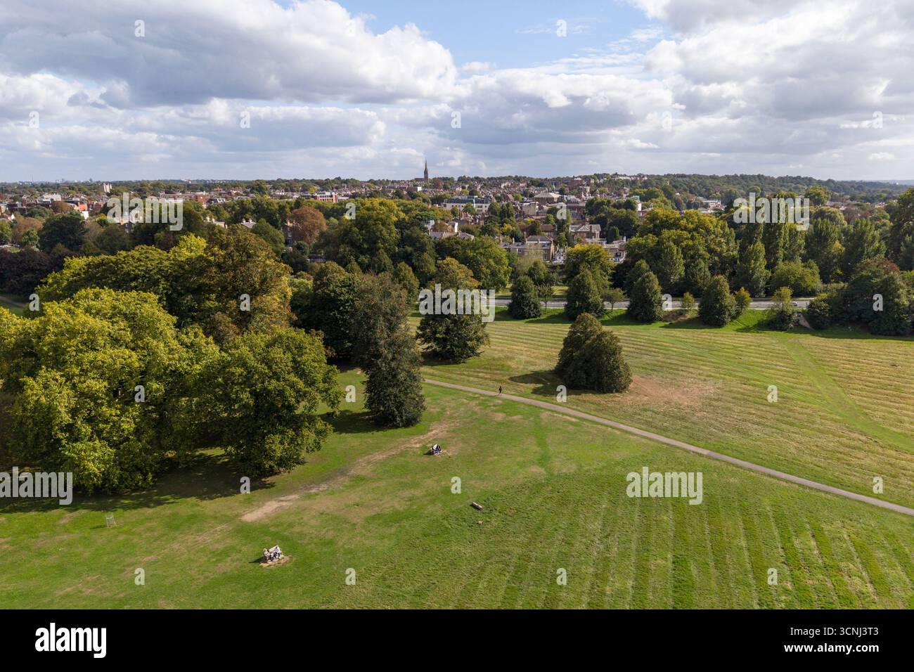 Veduta aerea dall'Old Deer Park che guarda a circa sud su Richmond upon Thames (TW9), Londra, Regno Unito. Foto Stock