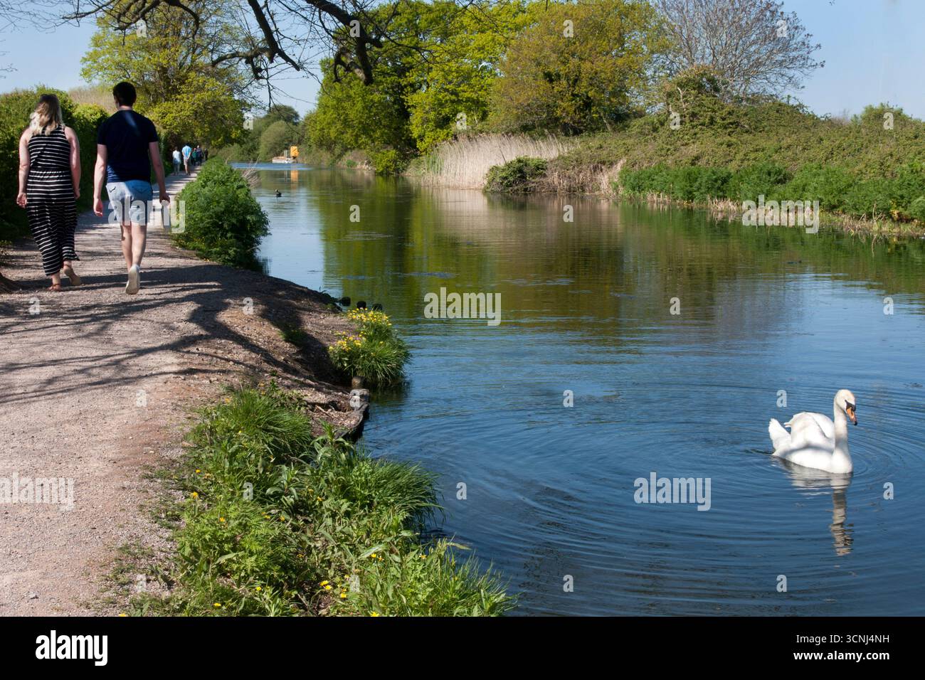 Persone che camminano lungo il sentiero del canale di Chichester, West Sussex, Inghilterra Foto Stock