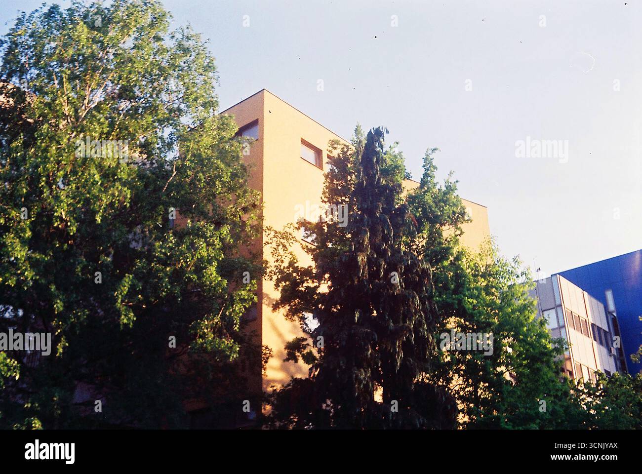 Fotografia analogica di un muro di un edificio in piastrelle di mosaico giallo degli anni '1960, in contrasto con il cielo azzurro. Una tranquilla vista d'archivio della città di metà secolo Foto Stock