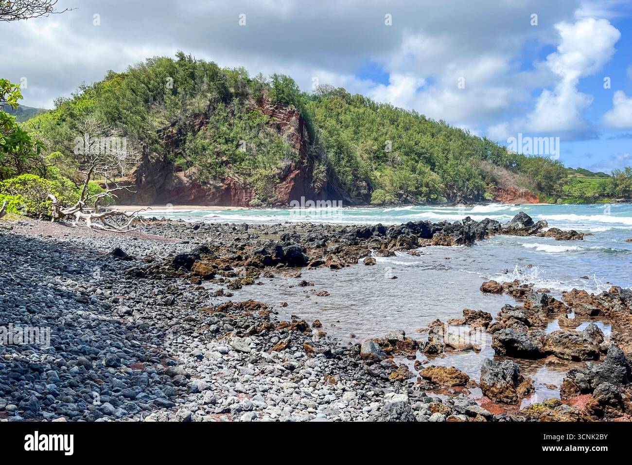 Un litorale roccioso con un'insenatura di fronte a una massa di terra ricoperta di alberi. Foto Stock