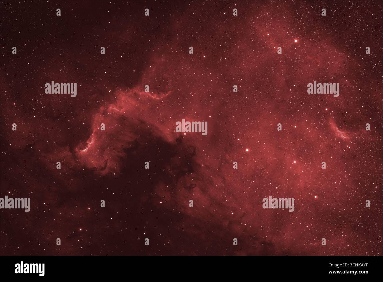 Londra, Regno Unito. 21 settembre 2025. Fotografia del telescopio ad alta risoluzione della Nebulosa del Nord America che risplende brillantemente nel cielo limpido sopra Londra in questa esposizione di 30 minuti della complessa nebulosa di emissione vista attraverso lo starfield in primo piano. Crediti: Malcolm Park/Alamy Live News Foto Stock