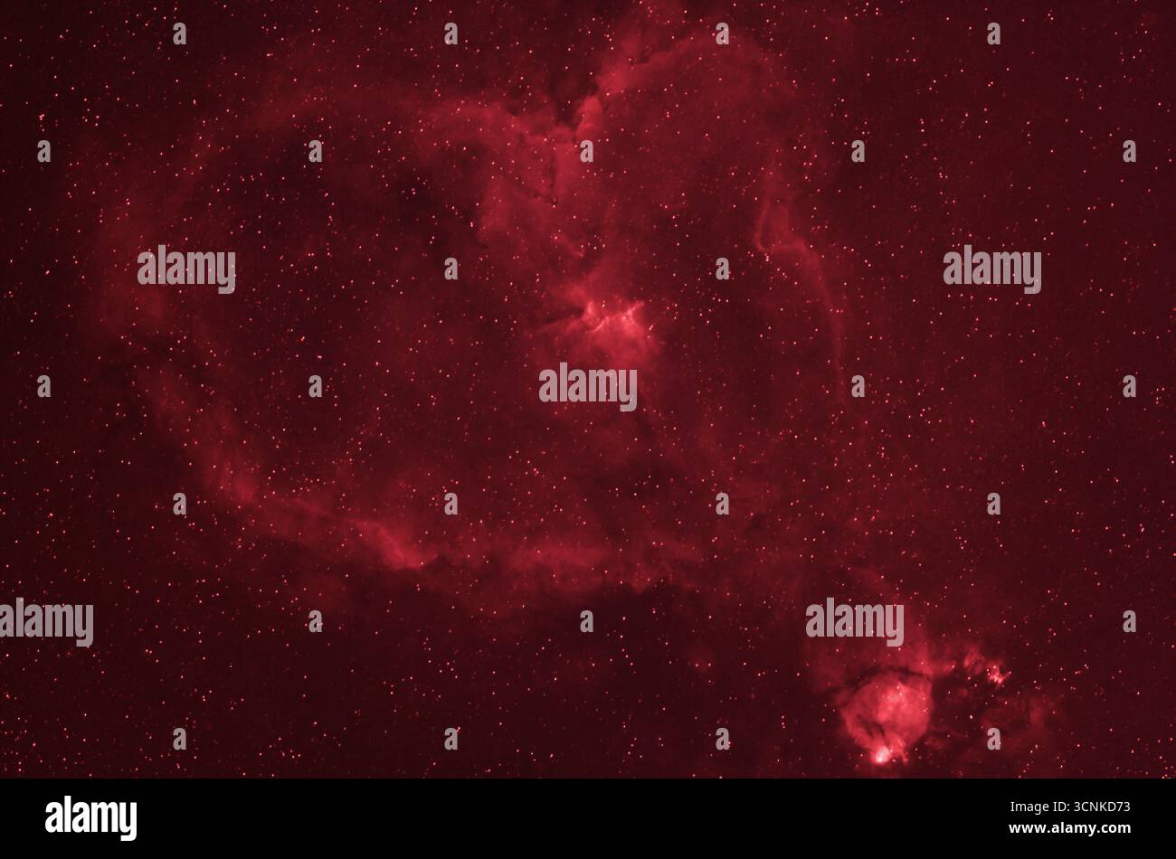Londra, Regno Unito. 21 settembre 2025. La Nebulosa del cuore di Cassiopeia brilla in cielo limpido sopra Londra in questa esposizione di 18 minuti della complessa nebulosa di emissione distante 7.500 anni luce, vista attraverso il campo stellare in primo piano. Crediti: Malcolm Park/Alamy Live News Foto Stock
