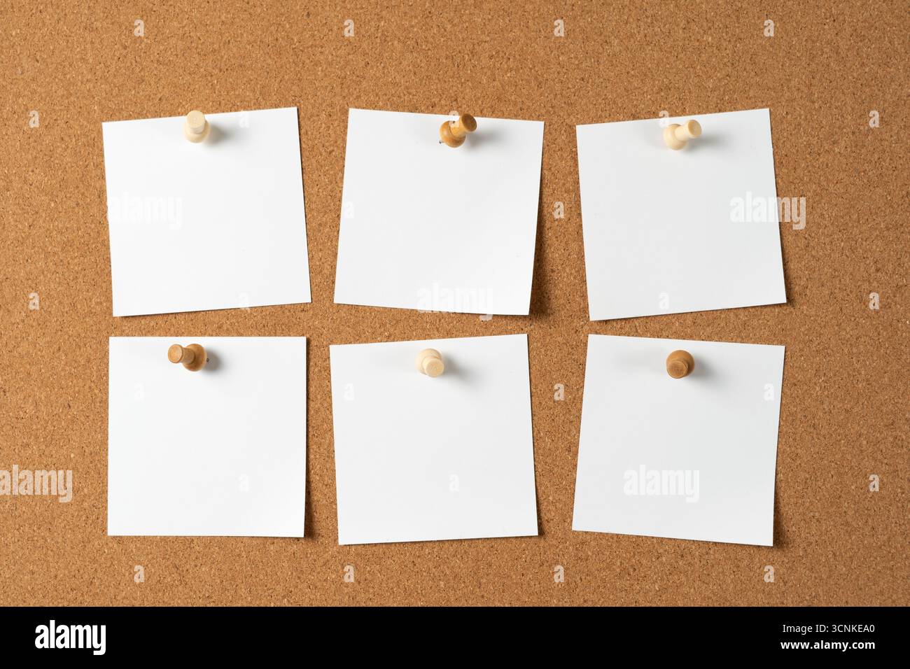 Sei note bianche vuote fissate a una bacheca in sughero con perni a pressione in legno, creando spazio per promemoria, messaggi o idee in un layout organizzato. Foto Stock