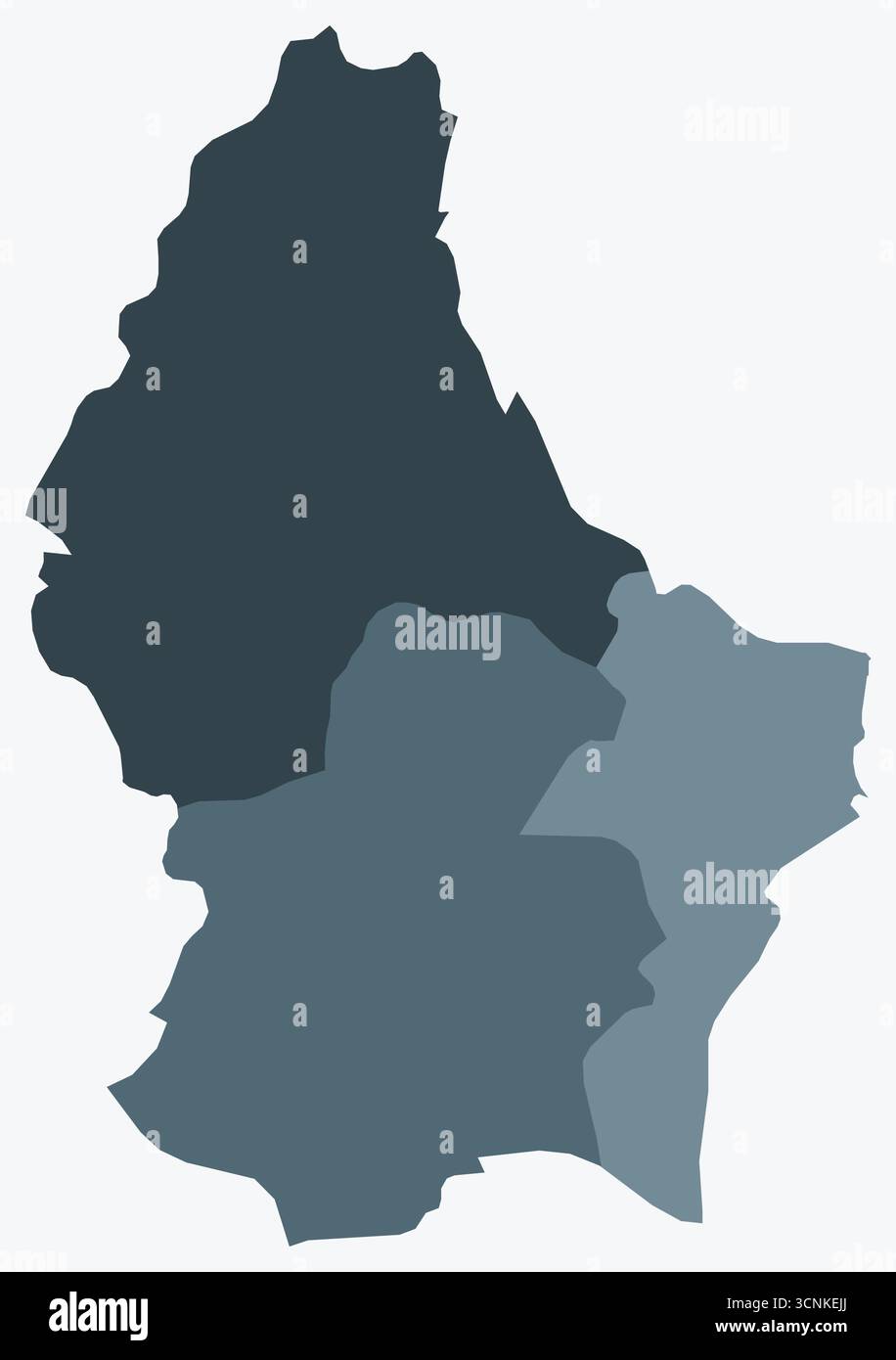 Mappa del Lussemburgo con le regioni. Una semplice mappa dei confini nazionali con divisioni regionali. Tavolozza dei colori blu-grigio. Illustrazione Vettoriale