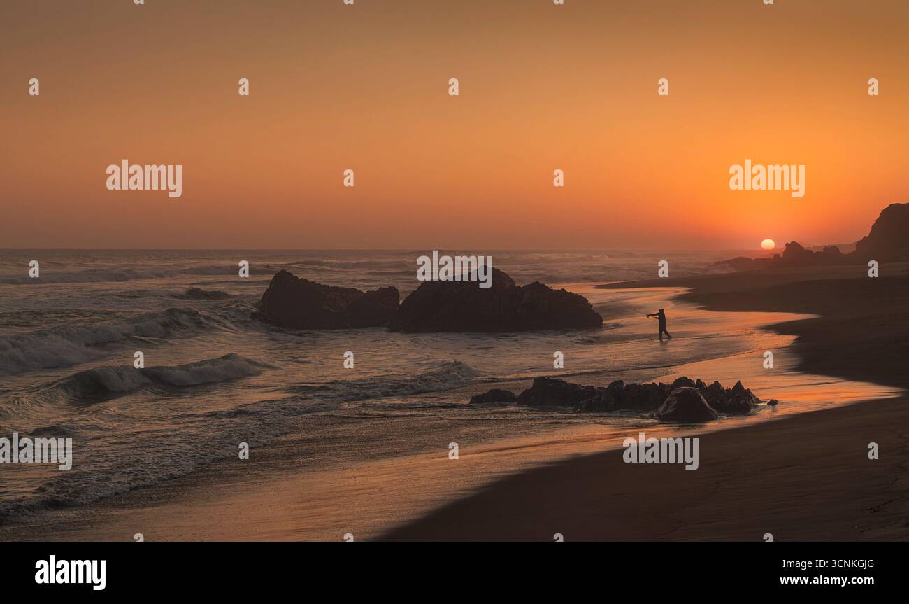 Le onde che si infrangono contro le sagome dei leoni marini sulle formazioni rocciose al tramonto. Una scena costiera dorata che unisce forza naturale e serenità marina Foto Stock