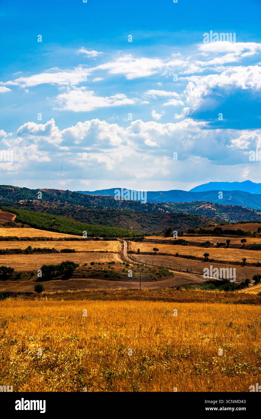 Campi d'oro e colline ondulate di Luadhi Celos a Pogradec, Albania - Un paesaggio rurale panoramico sotto cieli luminosi Foto Stock