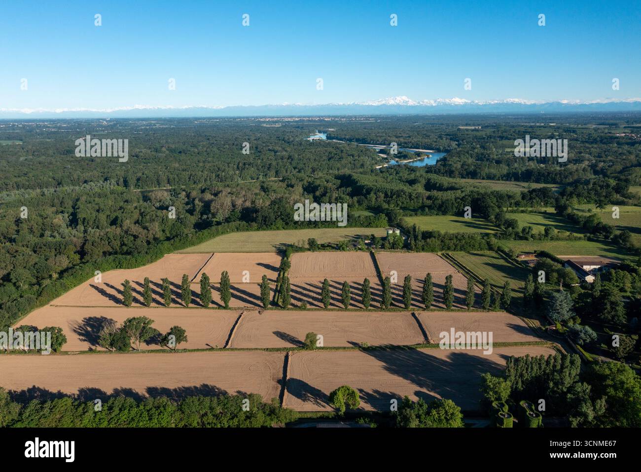 Vista aerea dei campi di riso modellati che si estendono verso l'orizzonte, tagliati in due da una linea di alberi che gettano lunghe ombre, Vespolate, Piemonte, Italia. Foto Stock
