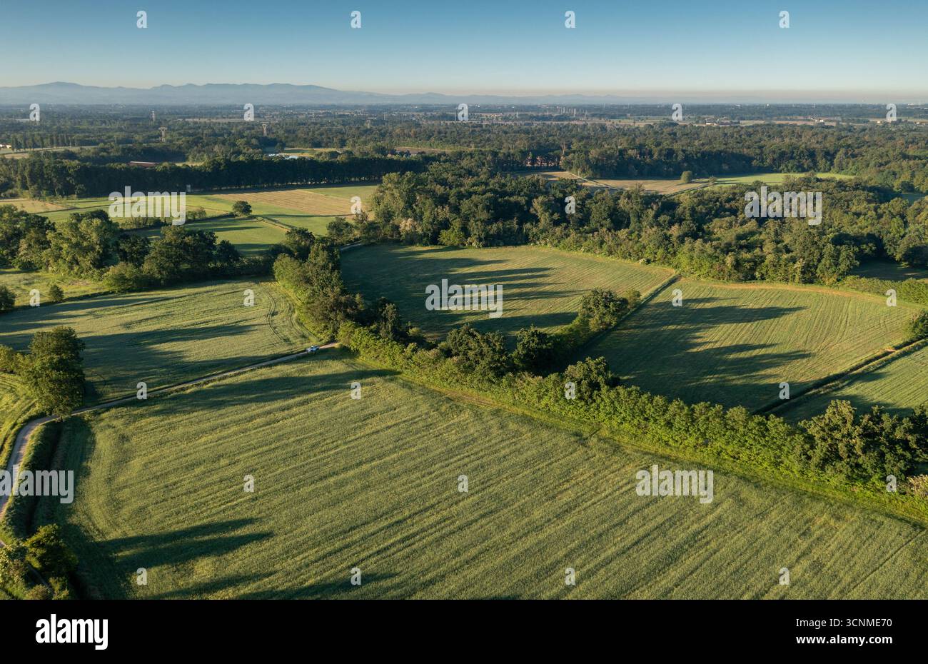 Veduta aerea delle risaie soleggiate che creano un arazzo di sfumature verdi, diviso da vegetazione verde scuro, Vespolate, Piemonte, Italia. Foto Stock