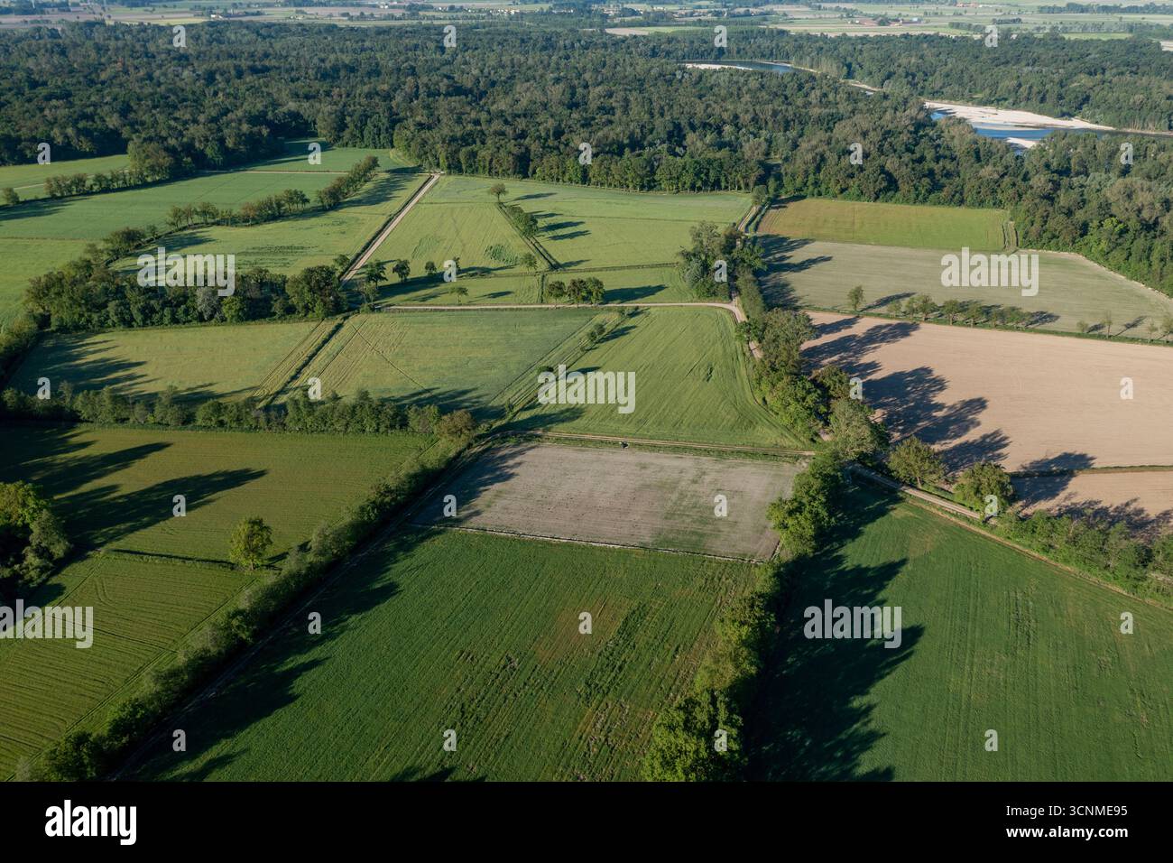 La vista aerea dei campi di patchwork di verde e oro vivace incontra il bordo scuro della foresta, un arazzo rurale intrecciato sotto l'ampio cielo, Vespolate, Piemonte, Italia. Foto Stock