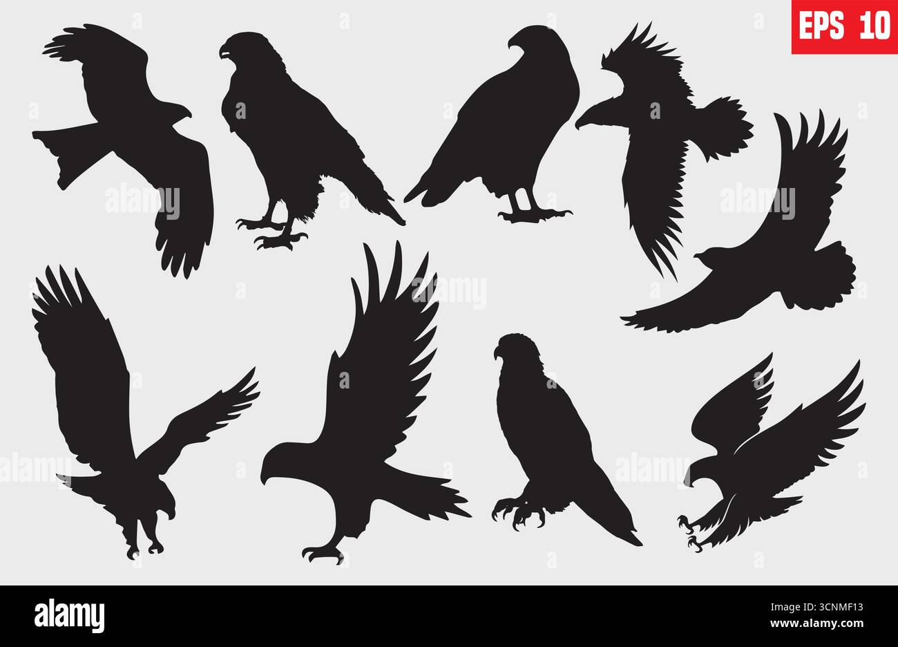 set di silhouette eagle, vettore di silhouette dell'aquila volante Illustrazione Vettoriale