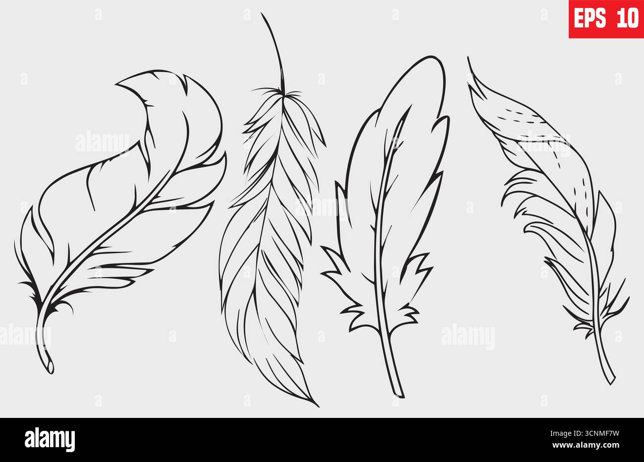 Set di icone della linea delle piume, vettoriale, sagoma delle piume isolate Illustrazione Vettoriale