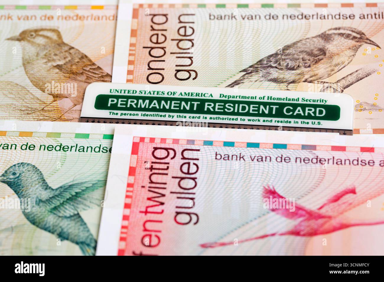 American Permanent Resident Card sui soldi delle Antille olandesi - Guilder Foto Stock