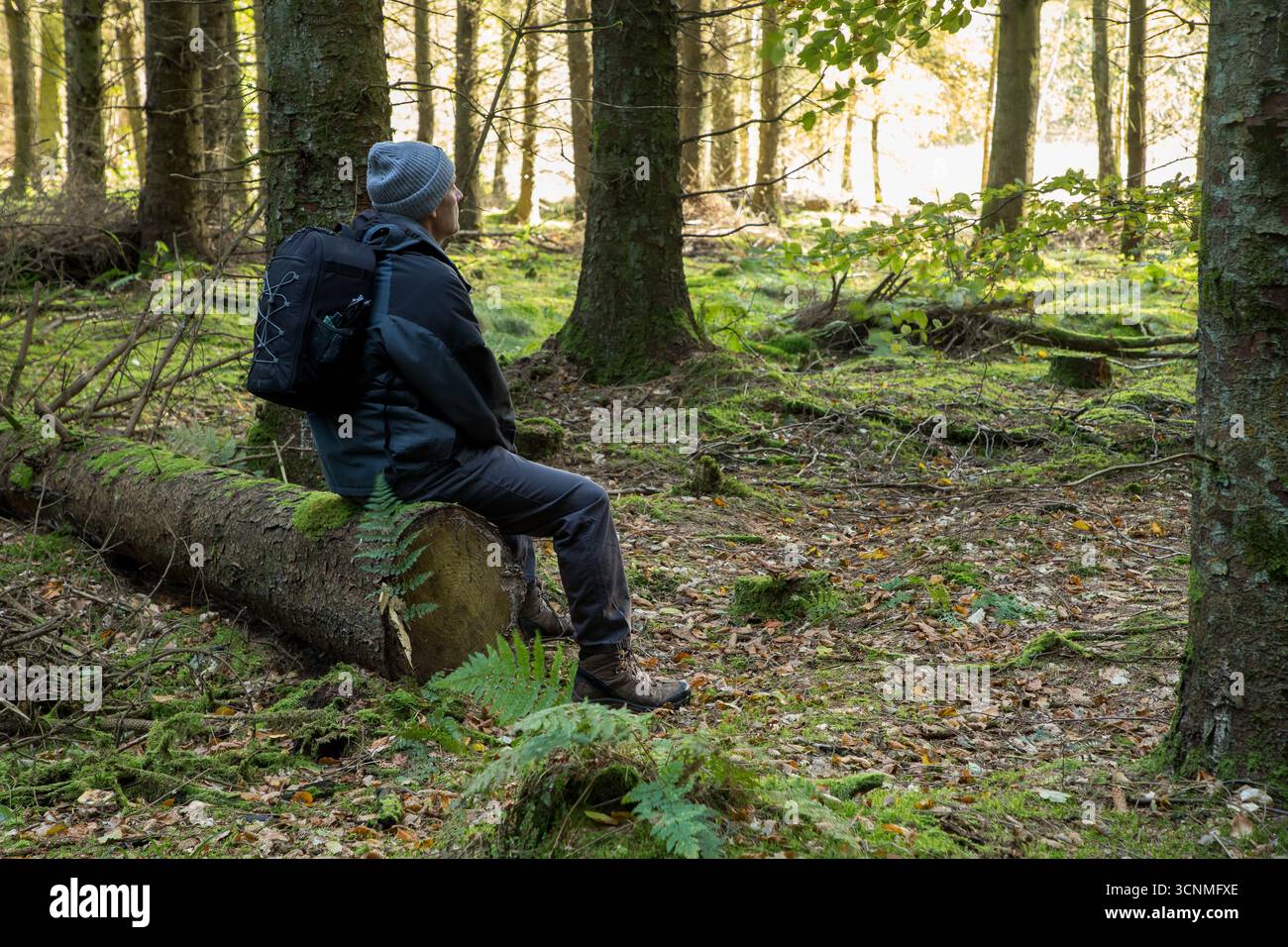 L'uomo europeo di mezza età seduto sul tronco di un albero nella foresta autunnale gode della natura, della terapia e della meditazione della natura, dell'uomo e della natura, del benessere in natura Foto Stock
