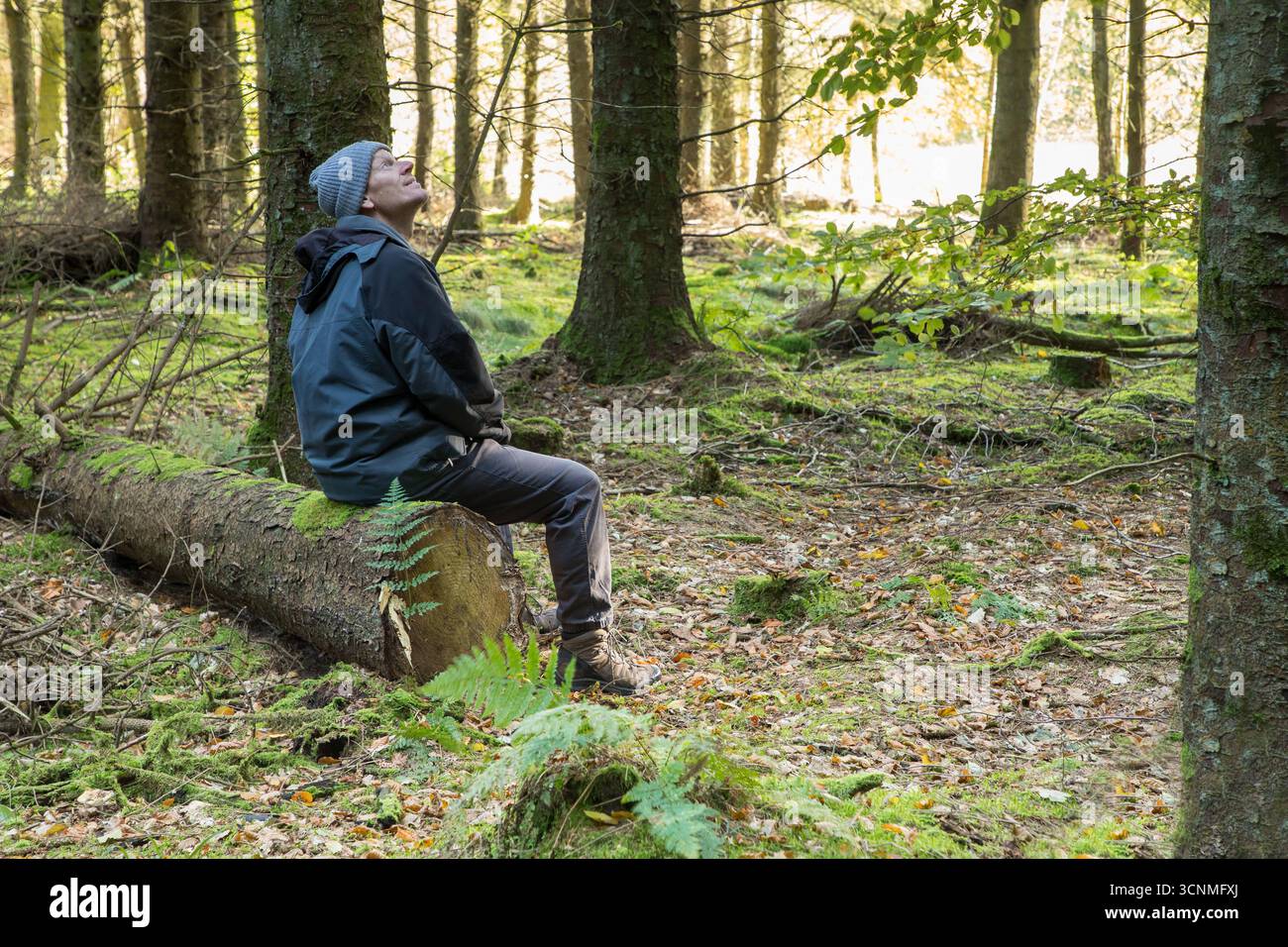 L'uomo europeo di mezza età seduto sul tronco di un albero nella foresta autunnale gode della natura, della terapia e della meditazione della natura, dell'uomo e della natura, del benessere in natura Foto Stock