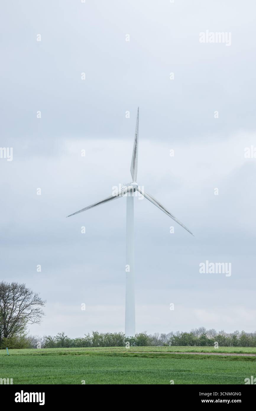 Energia verde con mulino a vento singolo nel paesaggio danese, energia eolica importante nella natura, elettricità verde, energia futura, energia eolica futura Foto Stock