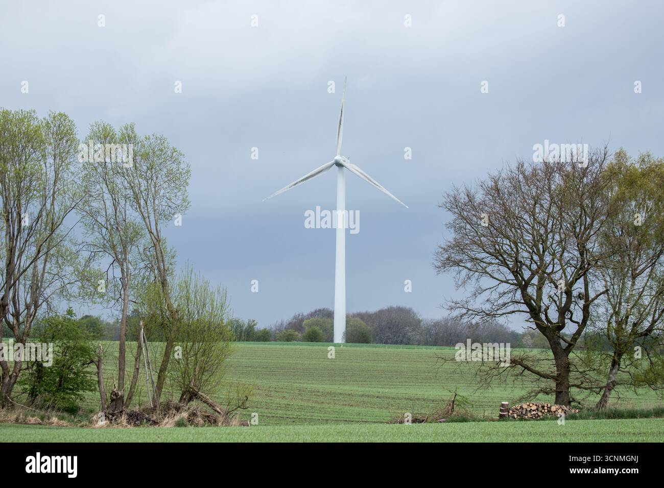 Energia verde con mulino a vento singolo nel paesaggio danese, energia eolica importante nella natura, elettricità verde, energia futura, energia eolica futura Foto Stock