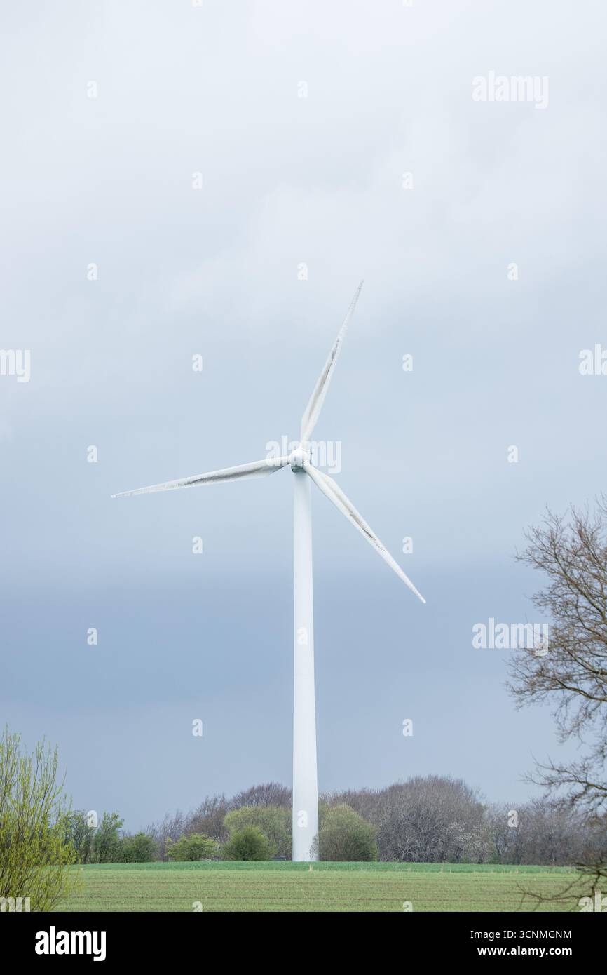 Energia verde con mulino a vento singolo nel paesaggio danese, energia eolica importante nella natura, elettricità verde, energia futura, energia eolica futura Foto Stock