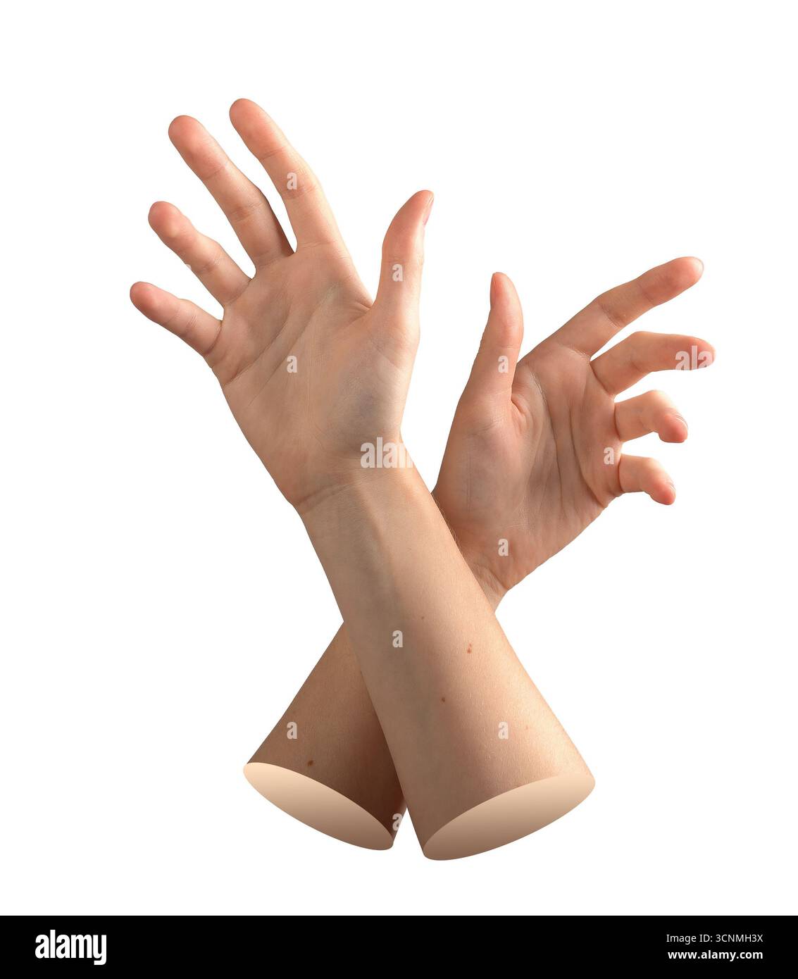 Mani femminili incrociate con palmi aperti e dita spalmate, combinando anatomia aggraziata e postura creativa in uno stile astratto moderno. Elegante display ge Foto Stock