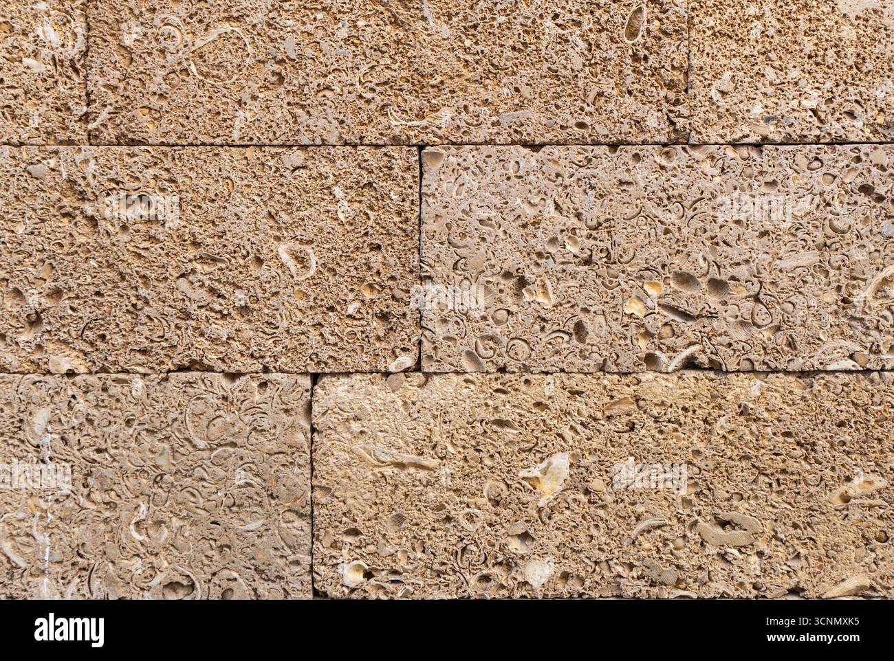Parete in pietra calcarea resistente con struttura fossile per sfondi architettonici Foto Stock
