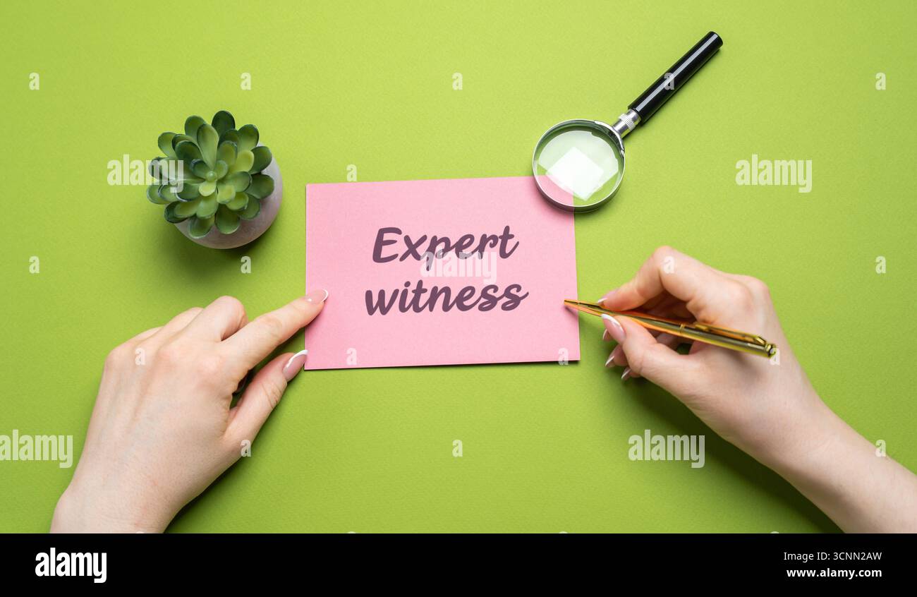 Iscrizione testimone esperto. Concetto di processo delle cause giudiziarie. Persona che possiede conoscenze, abilità speciali e che è chiamata a esprimere un parere in un'agenzia di pubbliche relazioni Foto Stock