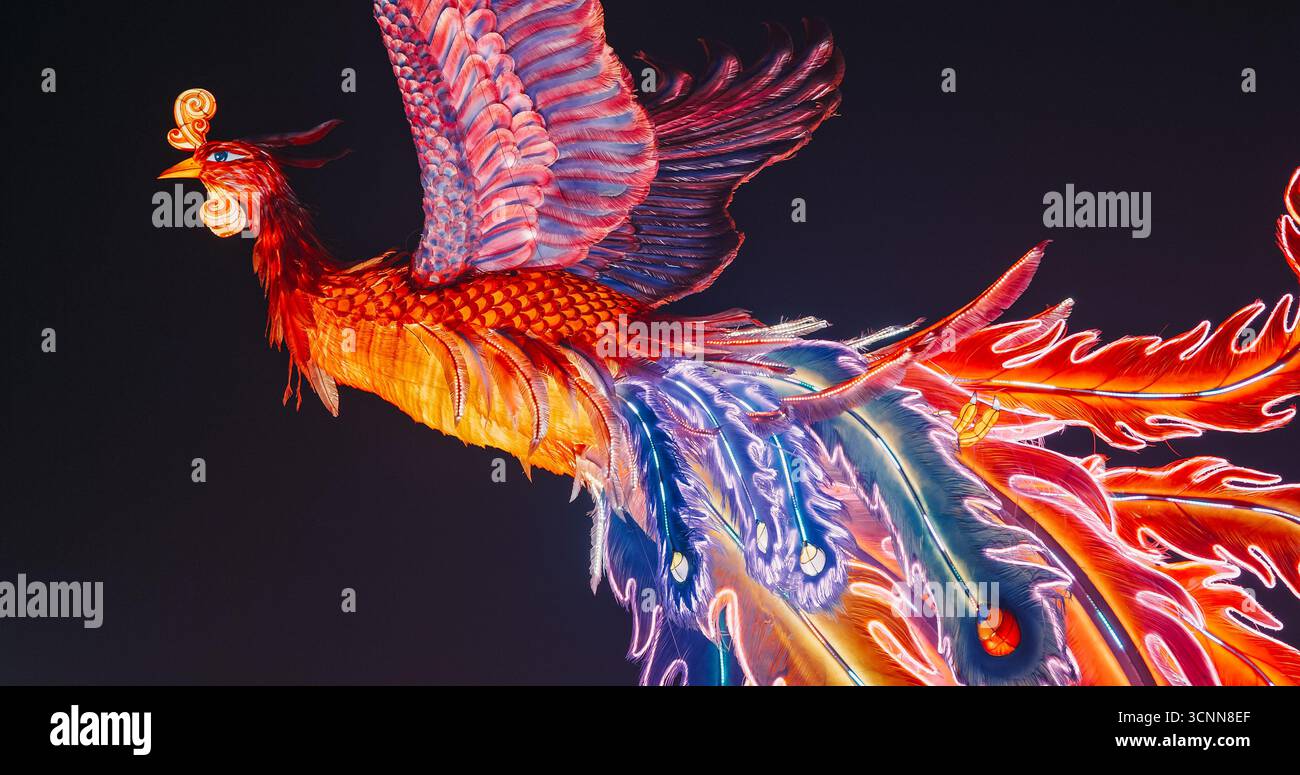 Pechino, Cina. Festival delle Lanterne Zigong a Pechino. Incredibile composizione di luci Phoenix Dance da Ninth Heaven. Fenghuang cinese Foto Stock