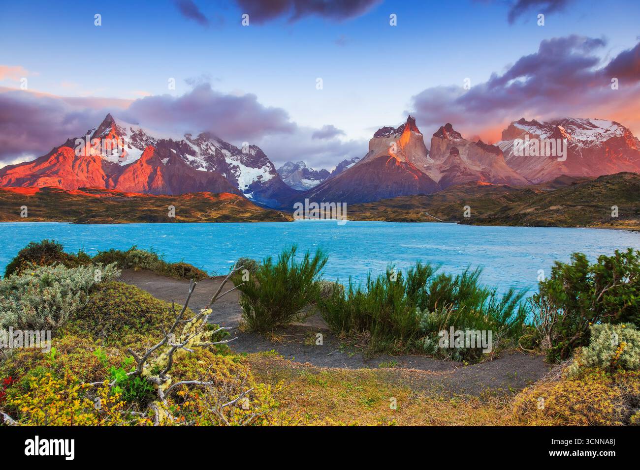 Parco Nazionale di Torres del Paine Cile. Sunrise presso il lago Pehoe. Foto Stock
