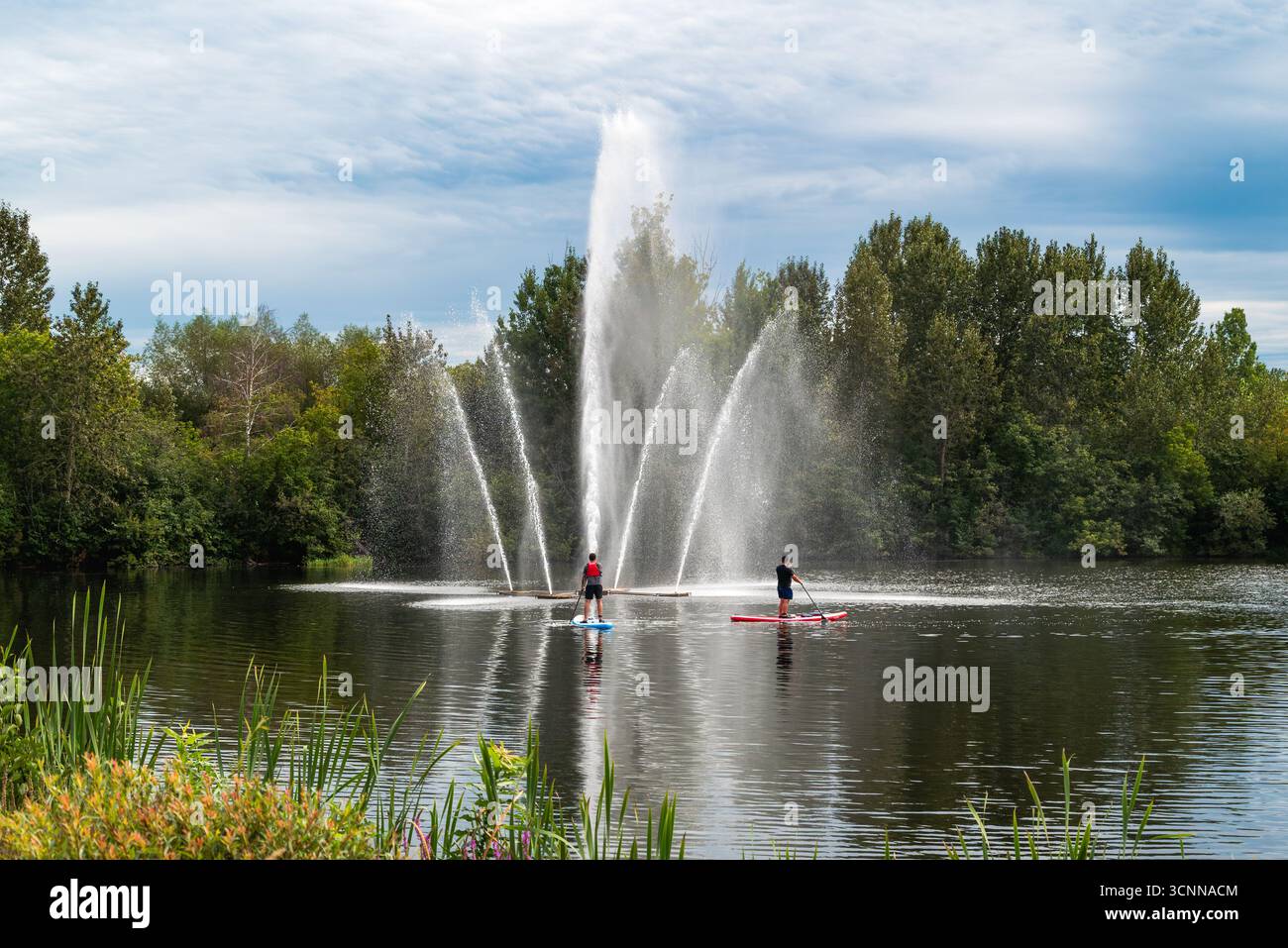 Sali a paddleboard di fronte a una grande fontana d'acqua su uno stagno circondato da alberi a Saint-Georges-de-Beauce, Quebec, Canada Foto Stock
