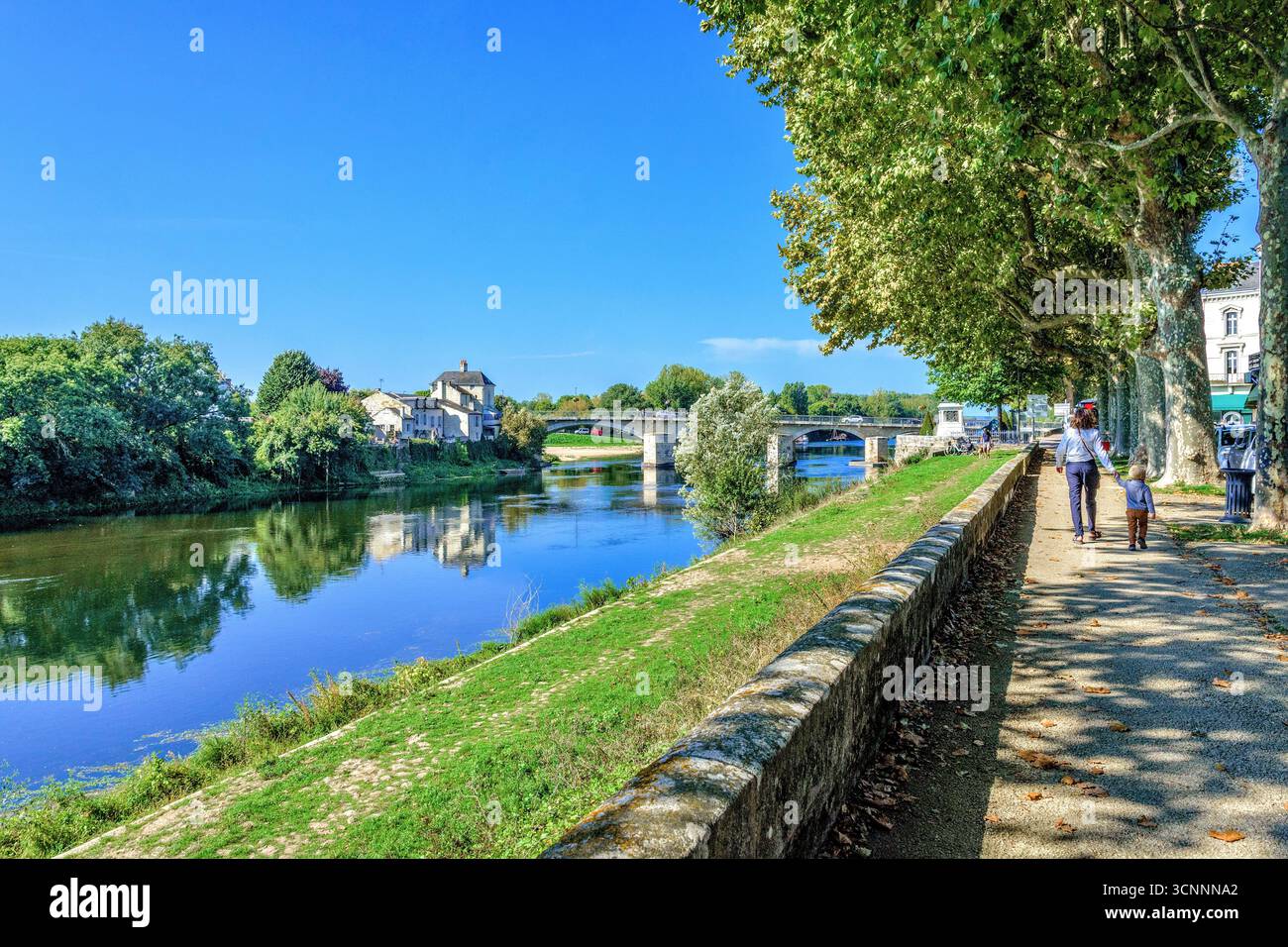 Vista lungo il Quai Jeanne d'Arc sotto gli alberi di platano sulla riva nord del fiume Vienne - Chinon, Indre-et-Loire (37), Francia. Foto Stock