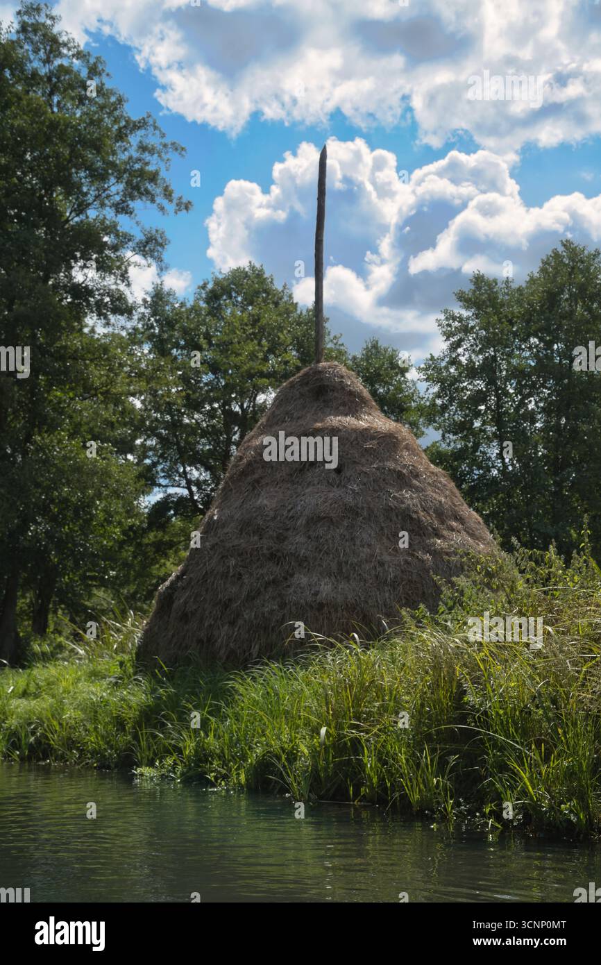 Un tradizionale pagliaio con un palo di legno tra vegetazione lussureggiante e sotto un cielo blu. Idillio rurale, agricoltura e atmosfera estiva. Foto Stock