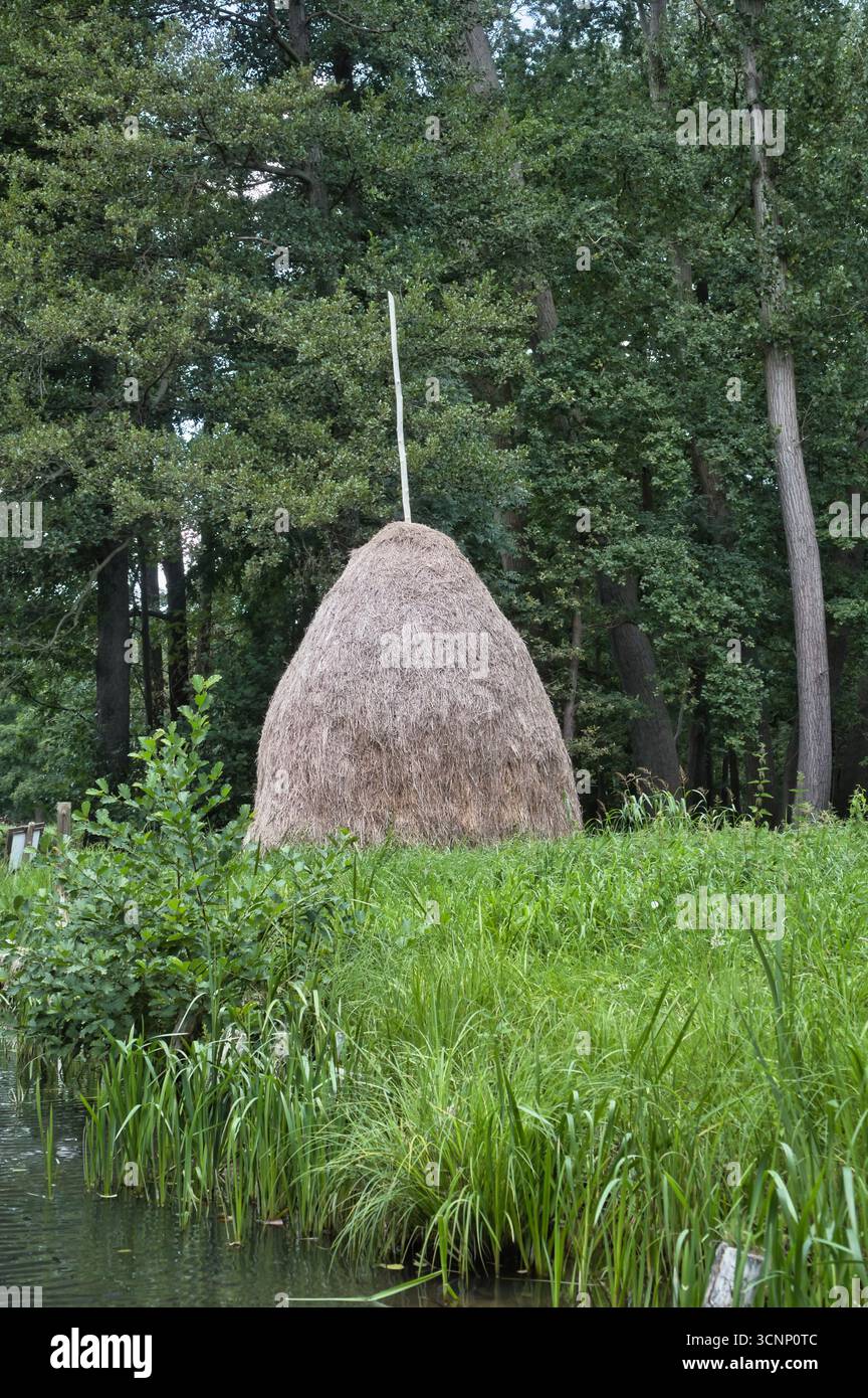 Un tradizionale pagliaio con un palo di legno tra vegetazione lussureggiante e sotto un cielo blu. Idillio rurale, agricoltura e atmosfera estiva. Foto Stock