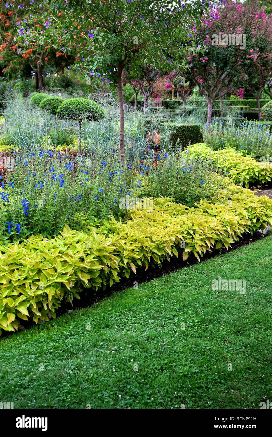 Aiuole di fiori in un giardino ad Angers Francia Foto Stock