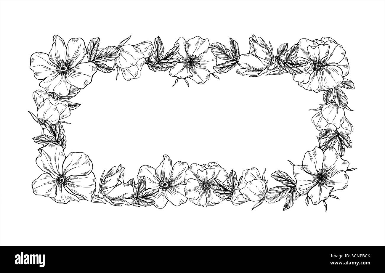 Fiori monocromatici in fiore con cornice rettangolare vettoriale foglie con inchiostri neri. Bordo del disegno con incisione a papavero selvatico con spazio di copia per il testo. Illustrazione Vettoriale