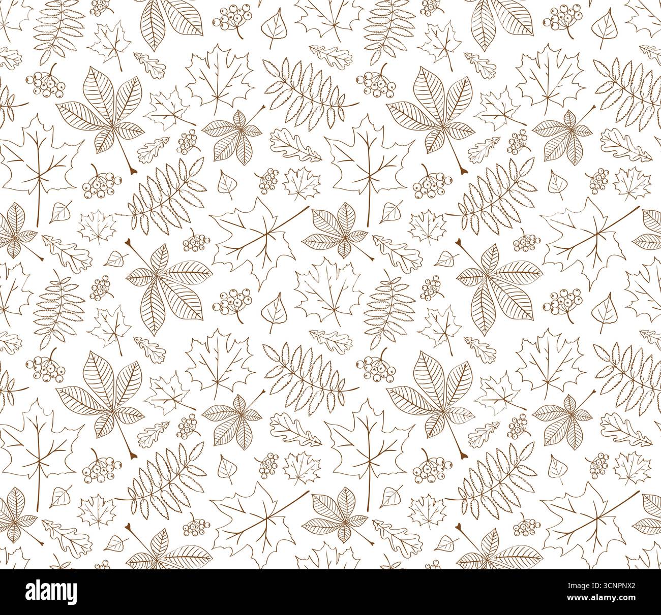 Motivo monocromatico autunnale su sfondo trasparente. Delineare lo schema autunnale. Disegno del fogliame disegnato a mano. Stampa fogliame autunnale isolata Illustrazione Vettoriale