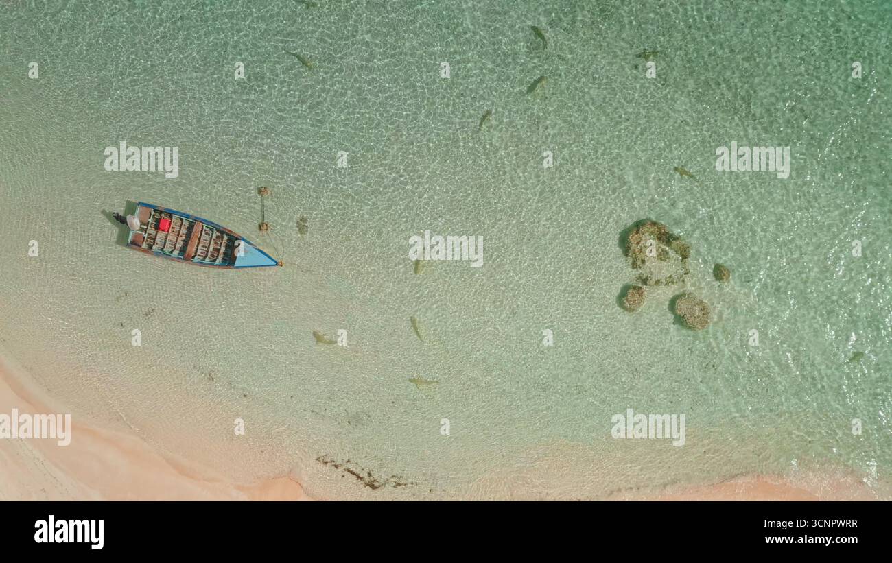 Una barca colorata è ancorata in una laguna cristallina, circondata da vibranti formazioni coralline. Il litorale sabbioso completa le tranquille acque di questo splendido ambiente tropicale. Foto Stock