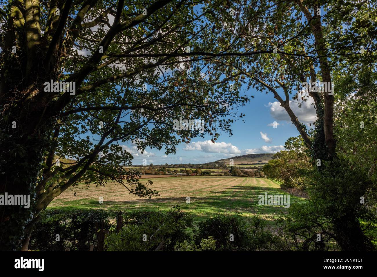 Berwick, 22 settembre 2025: La valle di Ouse Foto Stock