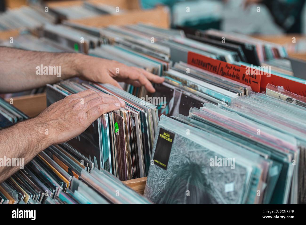 Ragazza che sfoglia dischi in vinile in casse di legno in un negozio di musica o al mercato delle pulci. Primo piano di mani che sfogliano album LP vintage Foto Stock