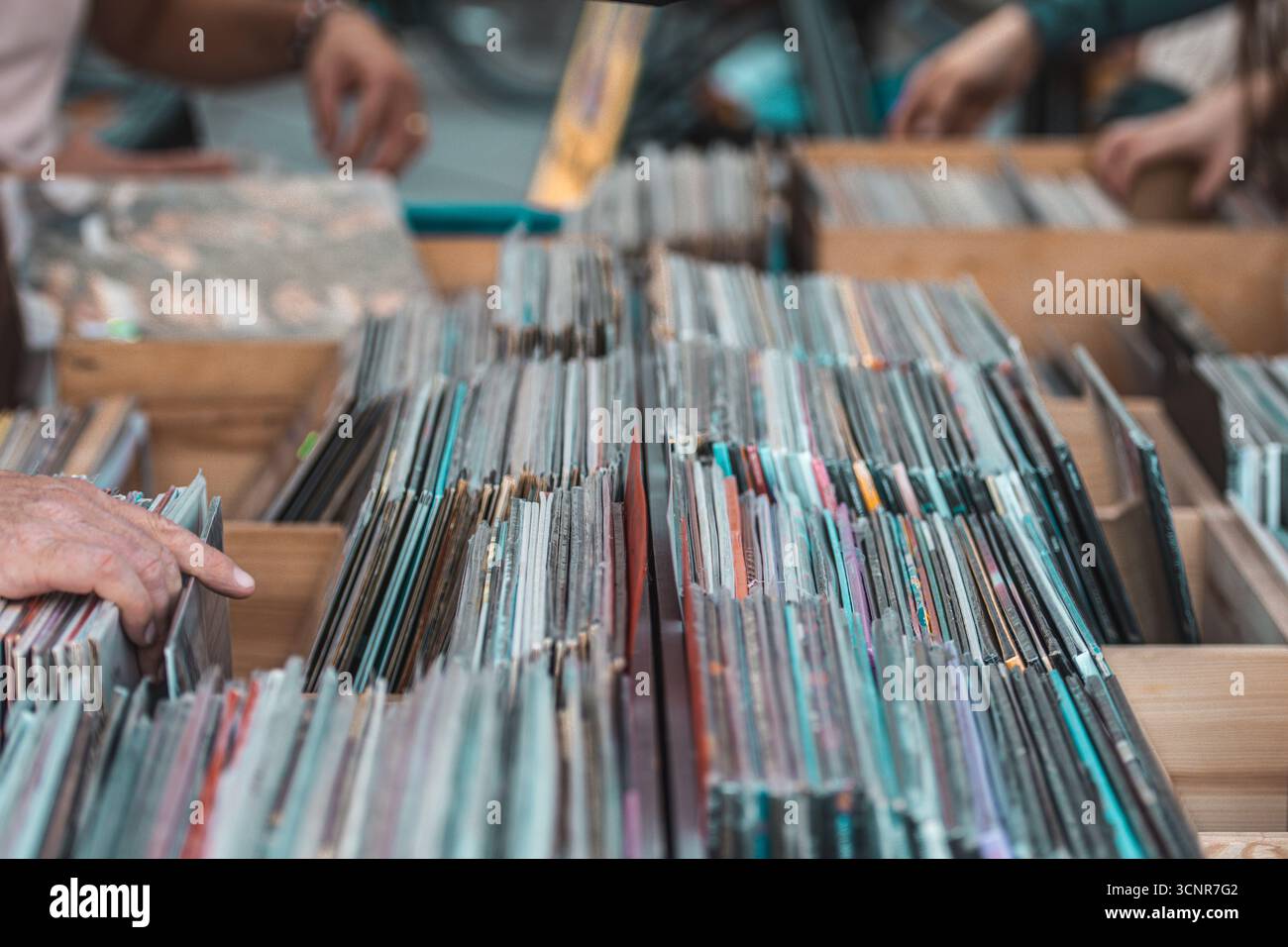 Ragazza che sfoglia dischi in vinile in casse di legno in un negozio di musica o al mercato delle pulci. Primo piano di mani che sfogliano album LP vintage Foto Stock