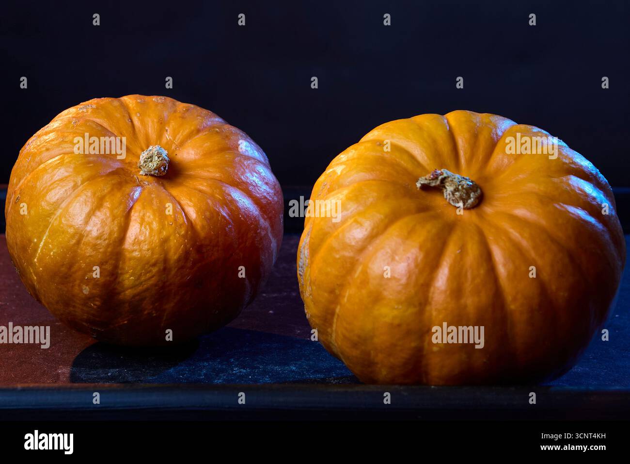 Foto in studio di due zucche su sfondo nero. Allestimento stagionale di STILL Life per tema Halloween con atmosfera autunnale. Foto Stock