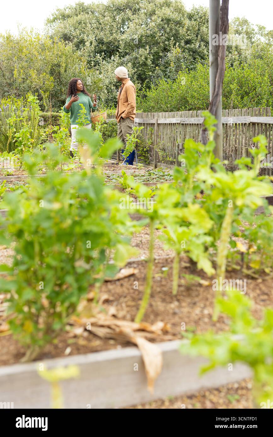 Diversi giardinieri che parlano nel giardino della comunità con cesto intrecciato e letti rialzati, spazio per fotocopie Foto Stock