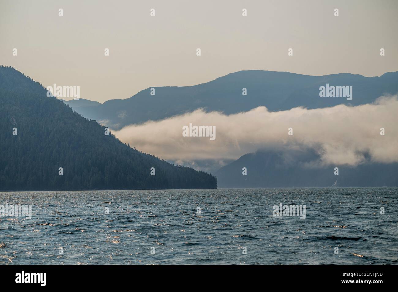 Il canale Douglas vicino a Kitimat, Great Bear Rainforest, Columbia Britannica, Canada. Foto Stock