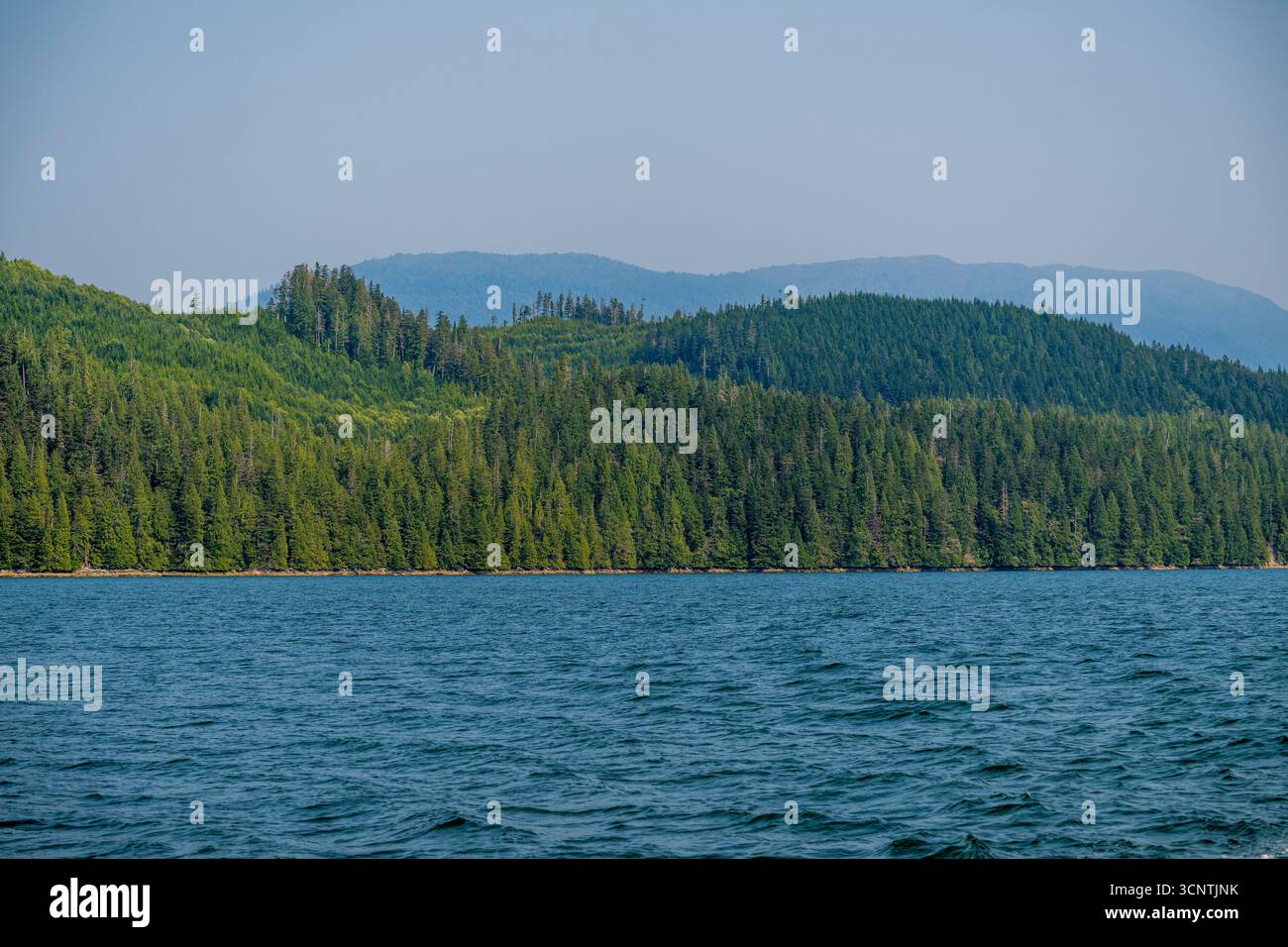 Il canale Douglas vicino a Kitimat, Great Bear Rainforest, Columbia Britannica, Canada. Foto Stock