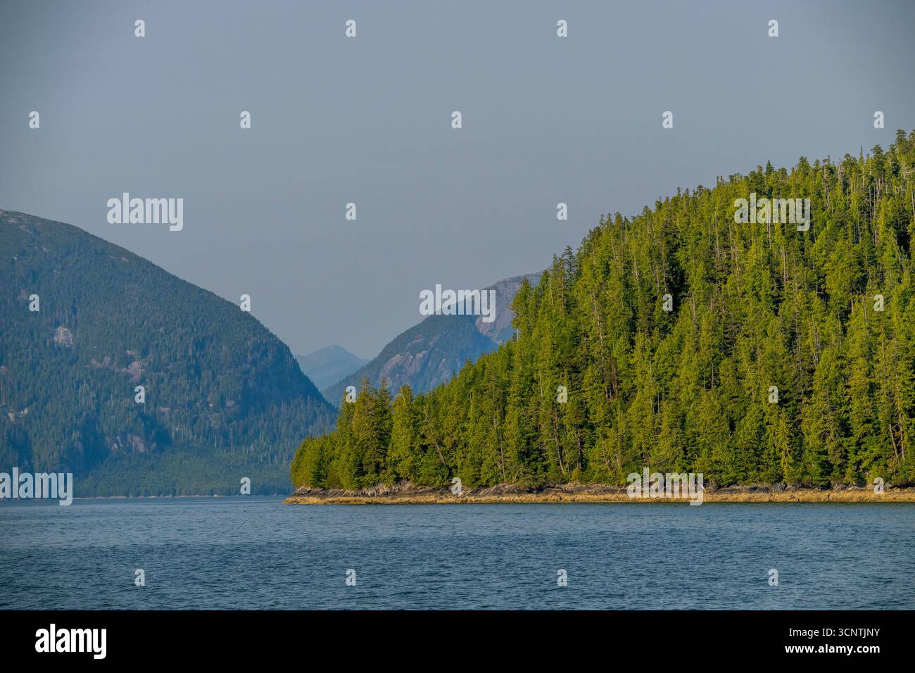 Douglas Channel, Great Bear Rainforest, British Columbia, Canada. Foto Stock