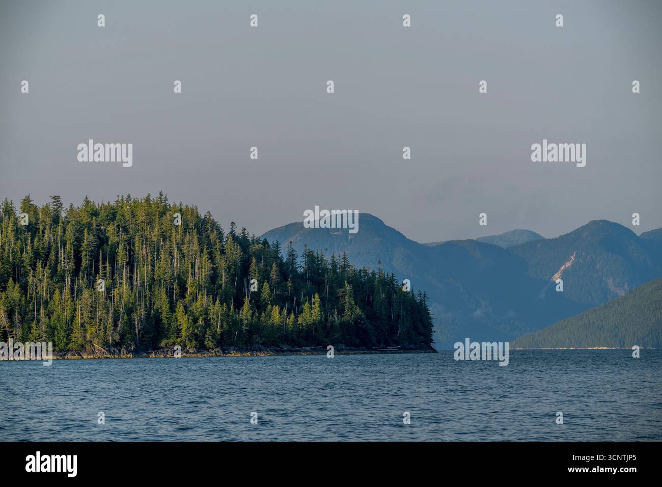 Douglas Channel, Great Bear Rainforest, British Columbia, Canada. Foto Stock