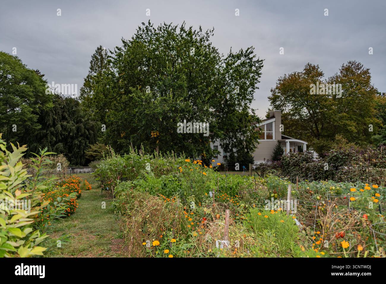 A Path in the Community Garden, York City Pennsylvania Foto Stock