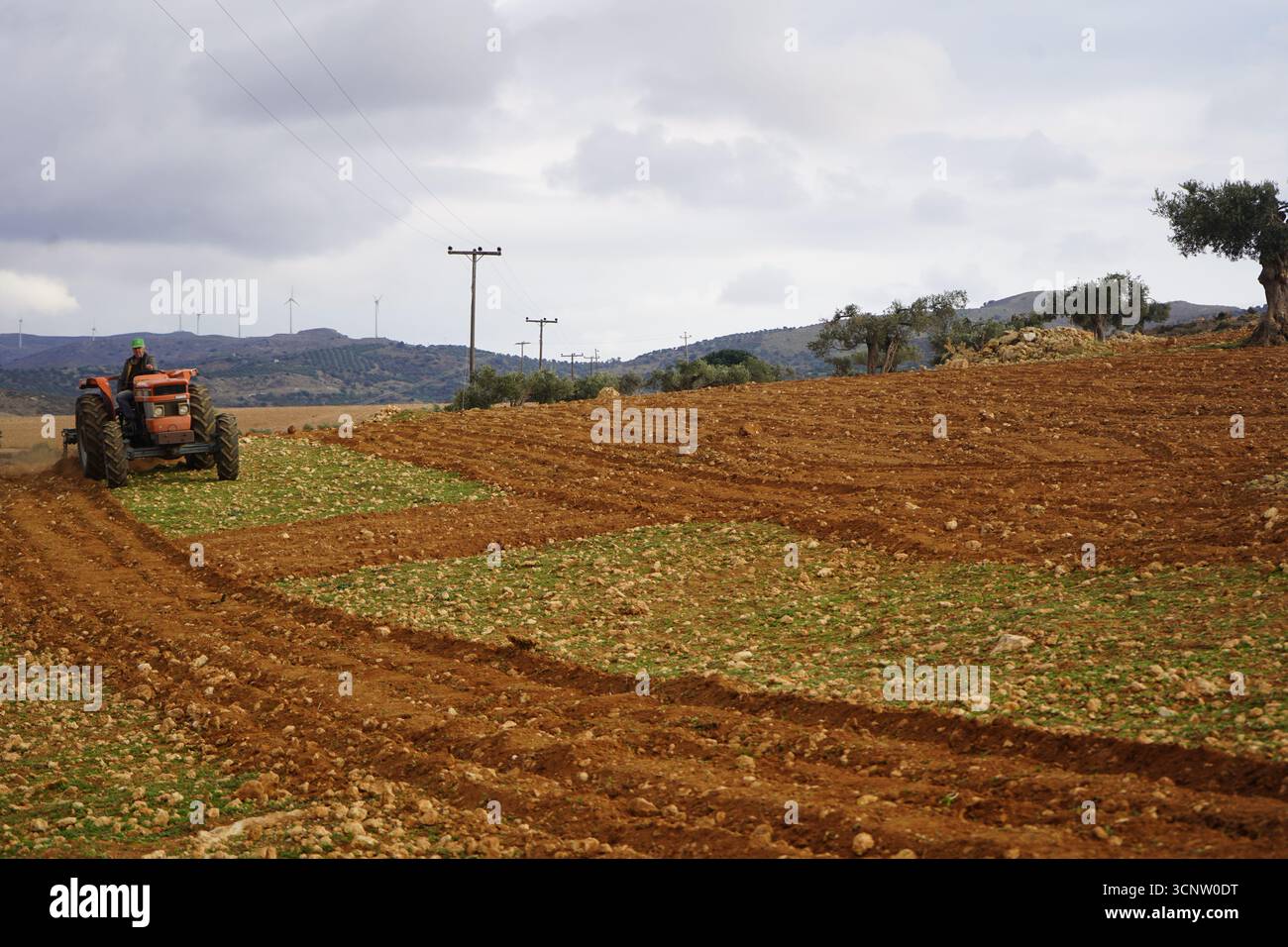 Un agricoltore gestisce un trattore kubota, coltivando un terreno ricco e rosso. Il paesaggio è caratterizzato da colline ondulate, ulivi e turbine eoliche. Foto Stock Un agricoltore gestisce un trattore kubota, coltivando un terreno ricco e rosso. Il paesaggio è caratterizzato da colline ondulate, ulivi e turbine eoliche. Foto Stock