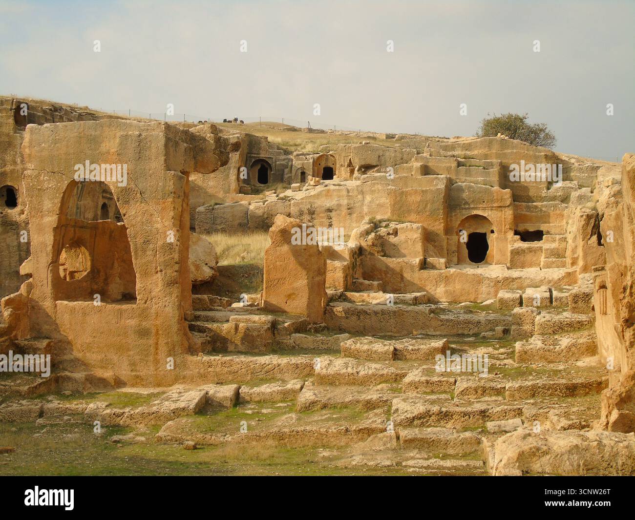 Dimora nella grotta rocciosa dell'antica città di Dara nella Turchia orientale Foto Stock