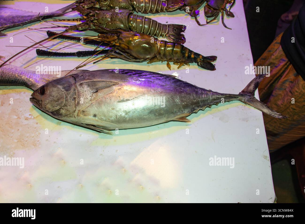 Pesce fresco con aragoste crude, identificabili da lunghe antenne e conchiglie dure, insieme a tonni e aragoste fresche, tonno crudo e mercato del pesce Foto Stock