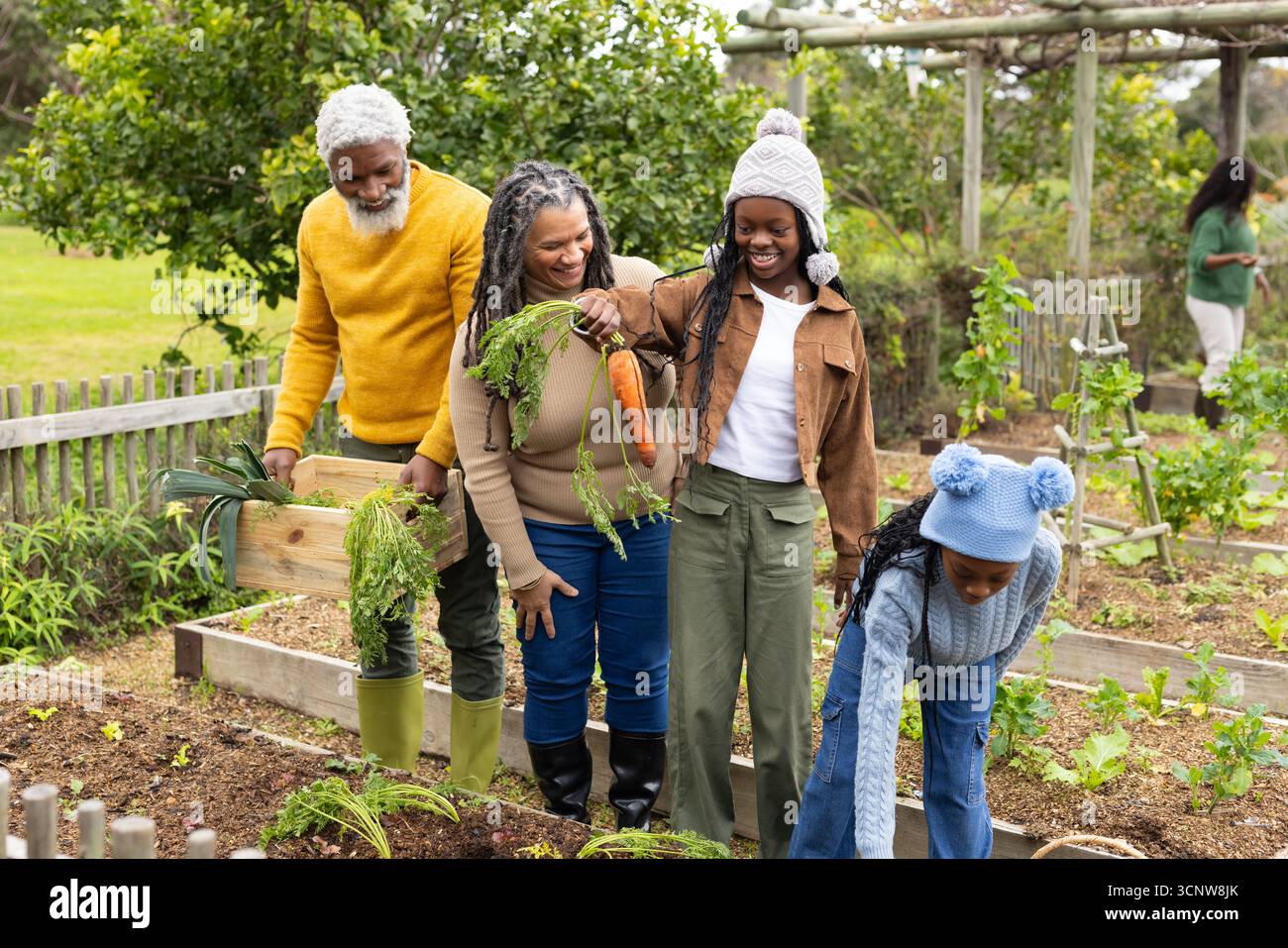 Famiglia afroamericana che raccoglie verdure nel giardino del cortile con cassa di carote e porri Foto Stock