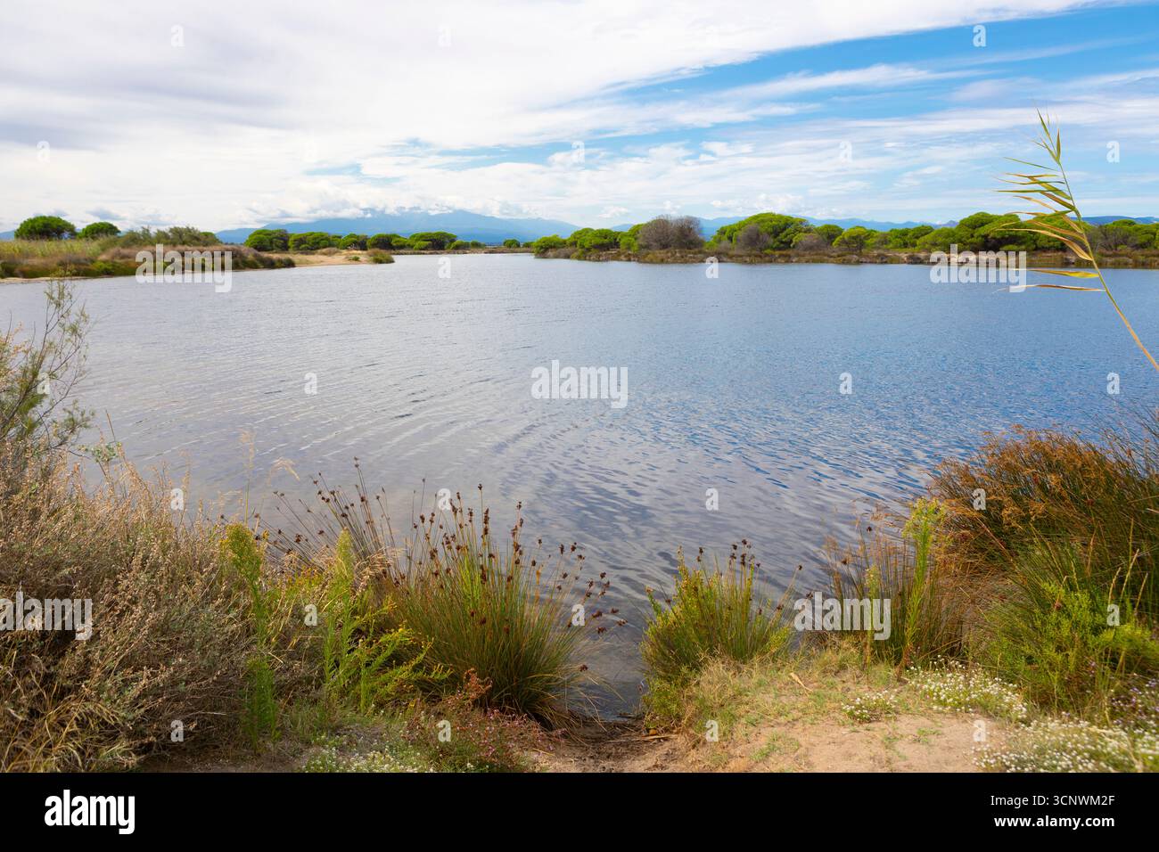 Un etang di acqua salata nell'entroterra vicino a le Barcares nel sud della Francia Foto Stock