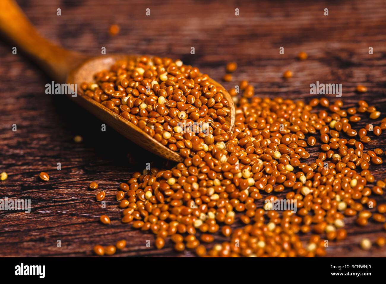 Immagine ravvicinata di grani di miglio marroni interi che fuoriescono da un cucchiaio di legno. La consistenza naturale e le tonalità dorate esaltano la sua qualità grezza e organica su un Foto Stock